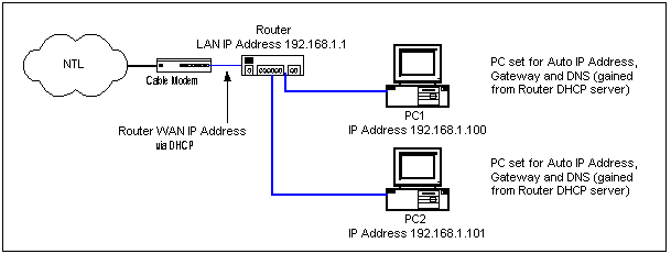 Network Lab